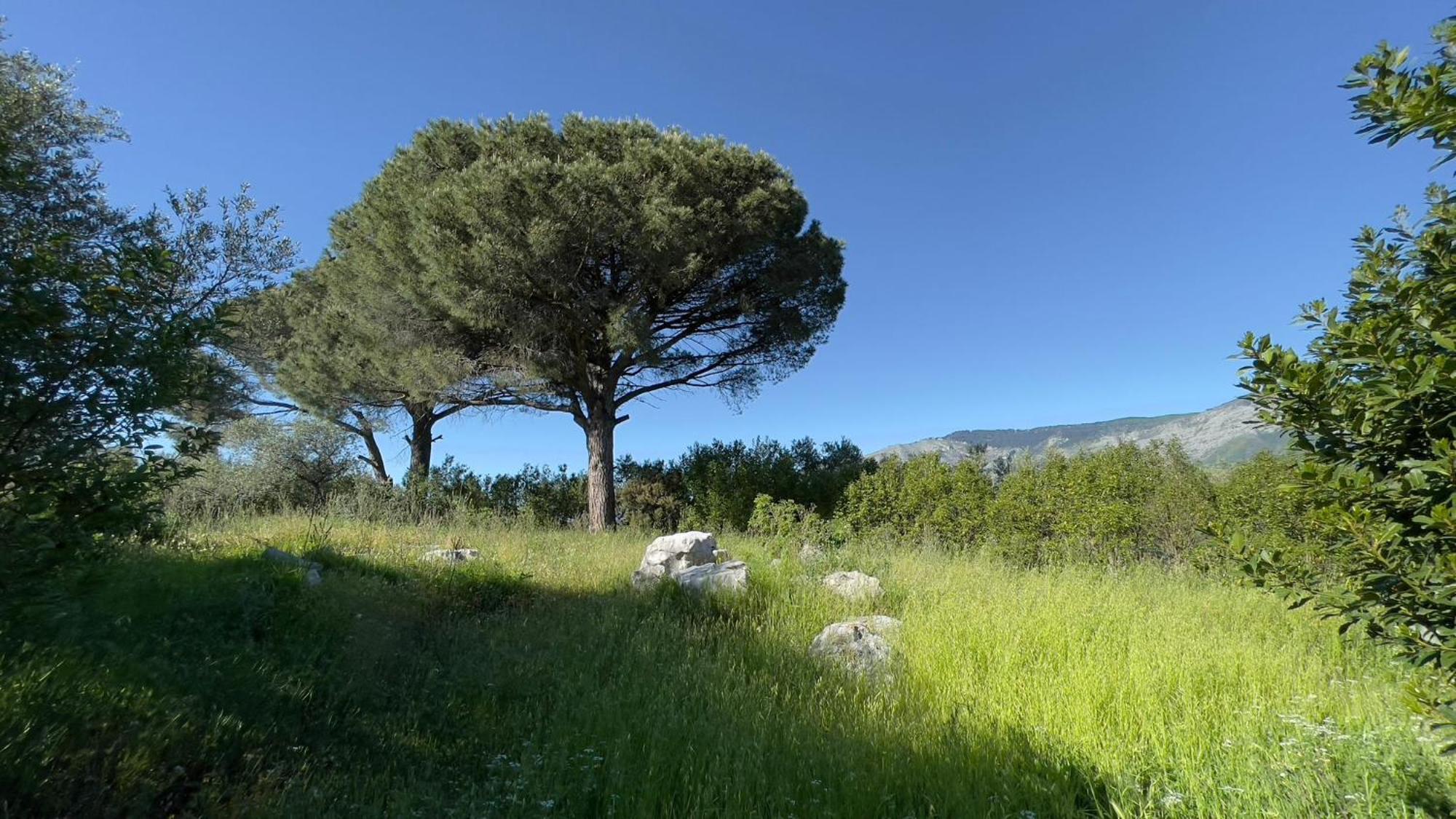 Relais Villa Giusso Vico Equense Kültér fotó